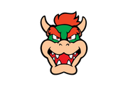 BOWSER MARIO BROS