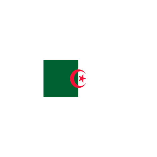 BANDERAS AFRICA