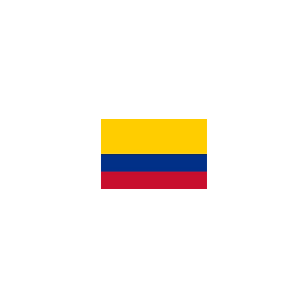 BANDERAS AMERICA DEL SUR