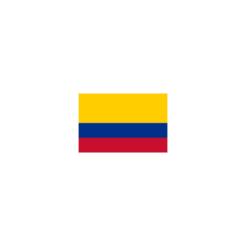 BANDERAS AMERICA DEL SUR