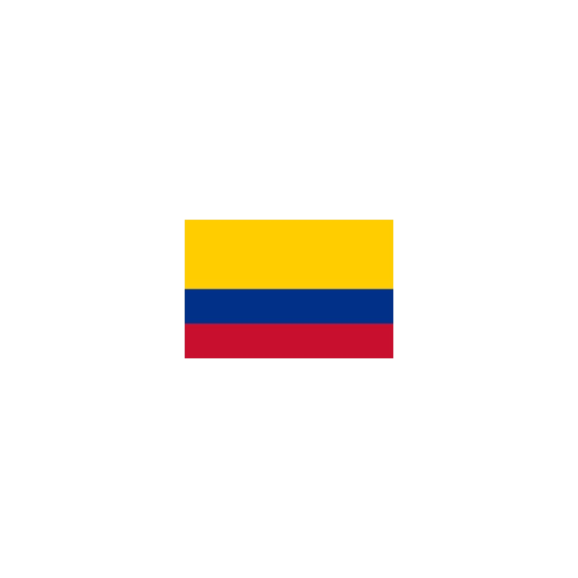 BANDERAS AMERICA DEL SUR