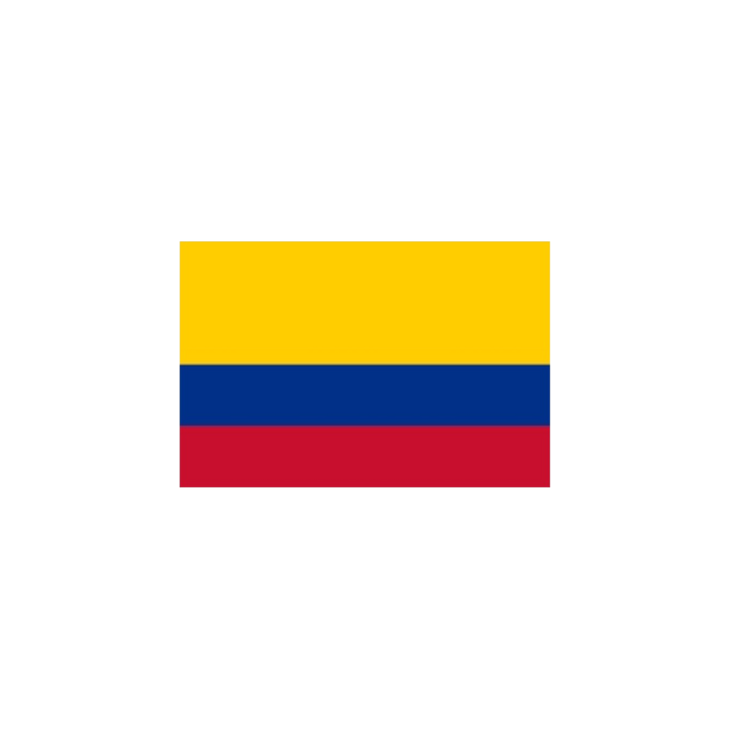 BANDERAS AMERICA DEL SUR
