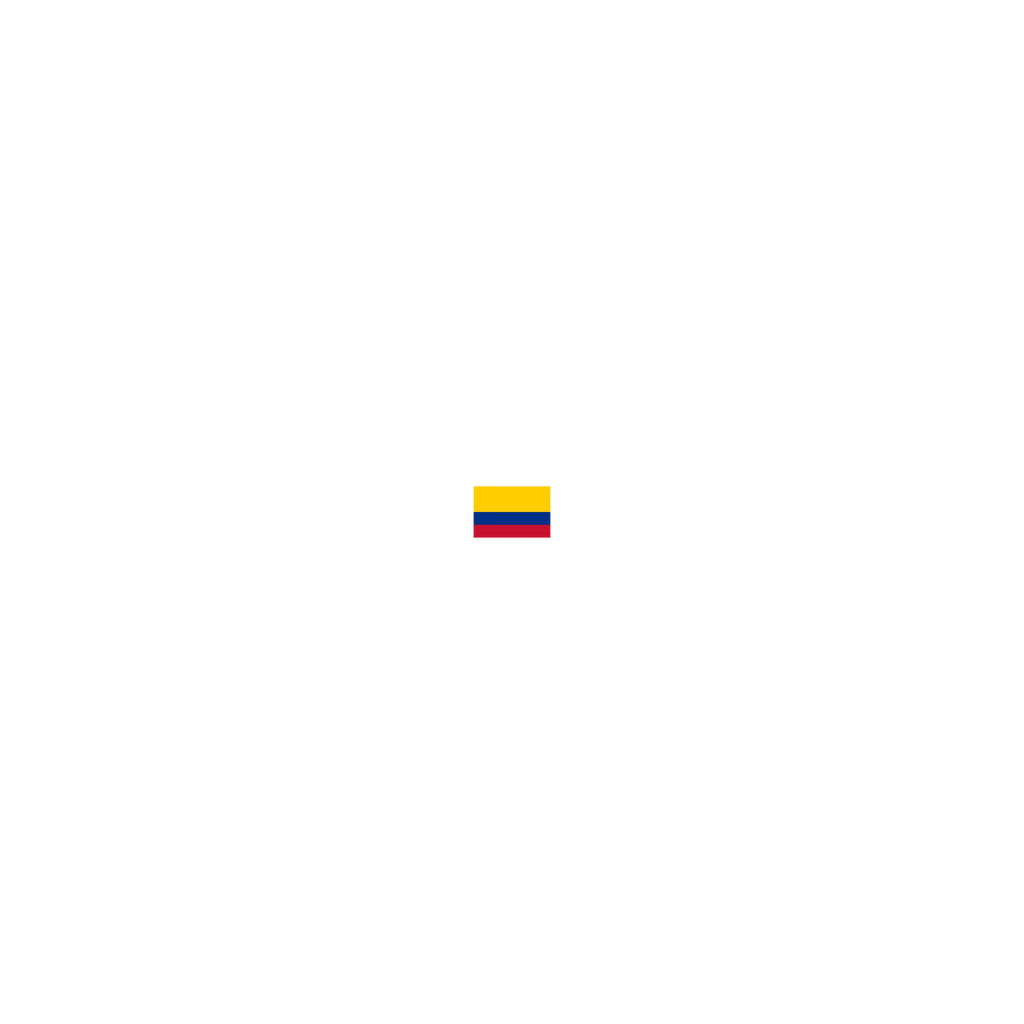 BANDERAS AMERICA DEL SUR