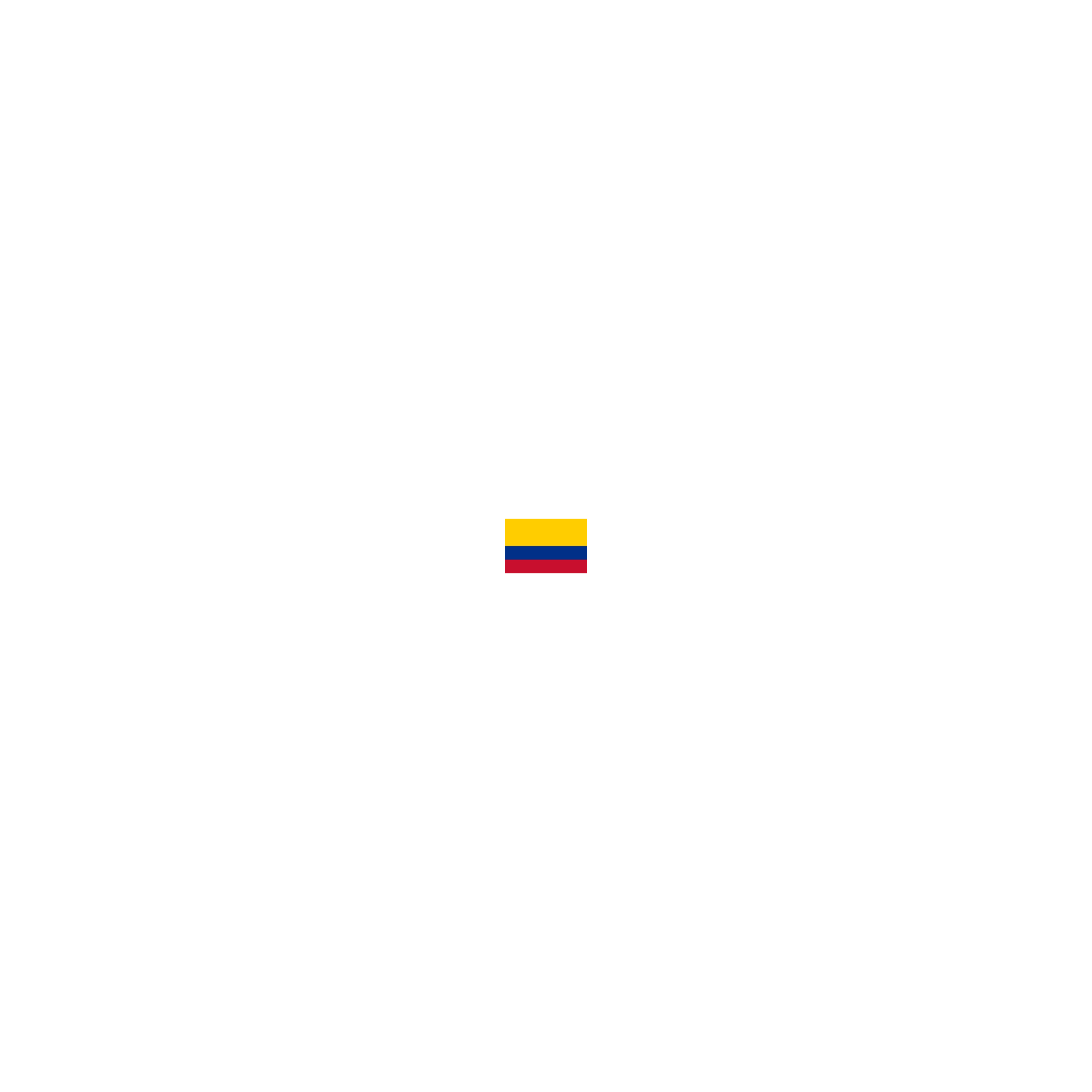 BANDERAS AMERICA DEL SUR