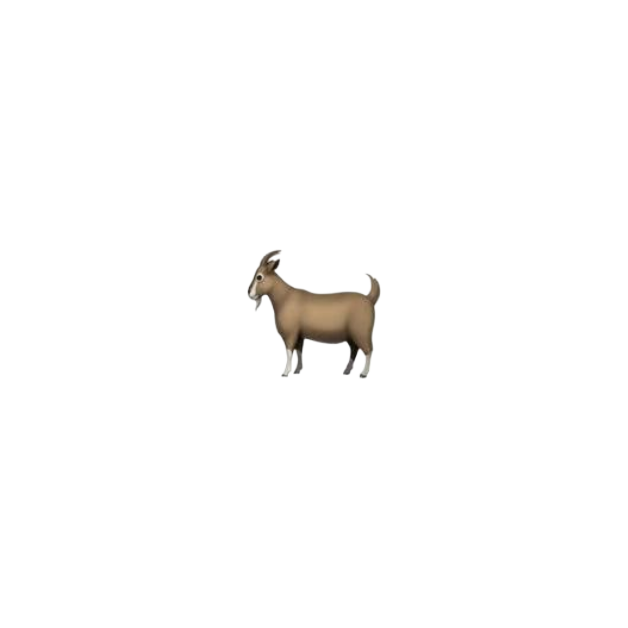 ICONOS ANIMALES