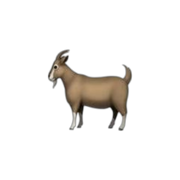 CABRA