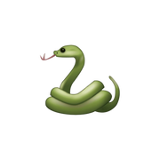 COBRA