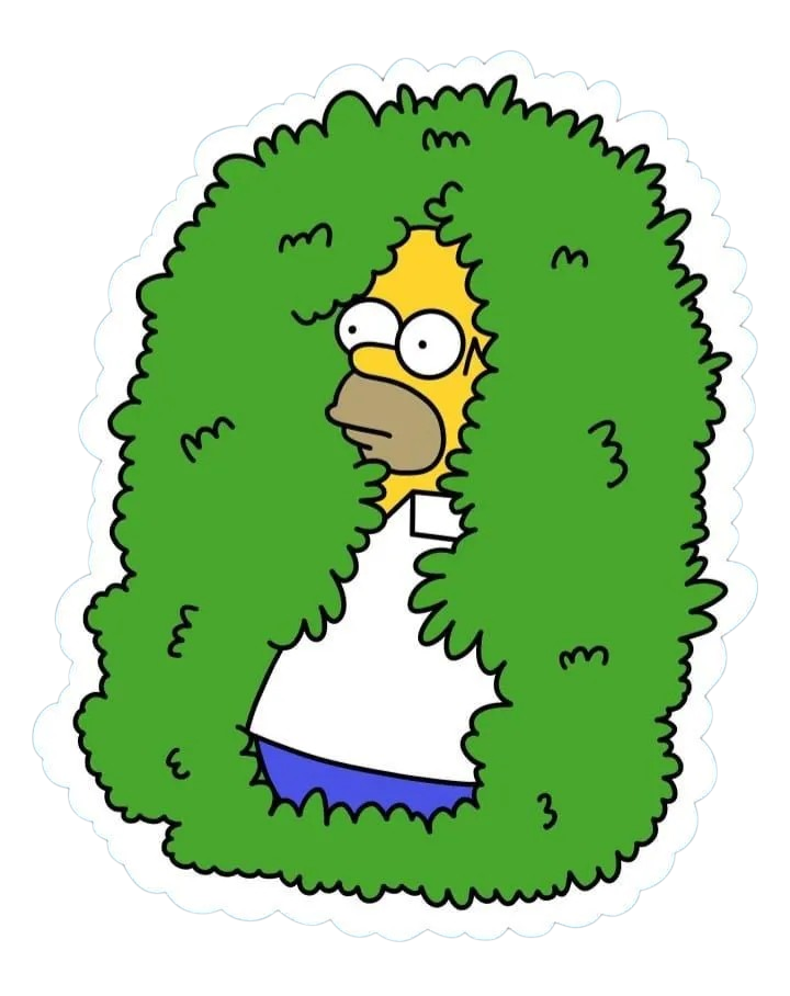 Los Simpson