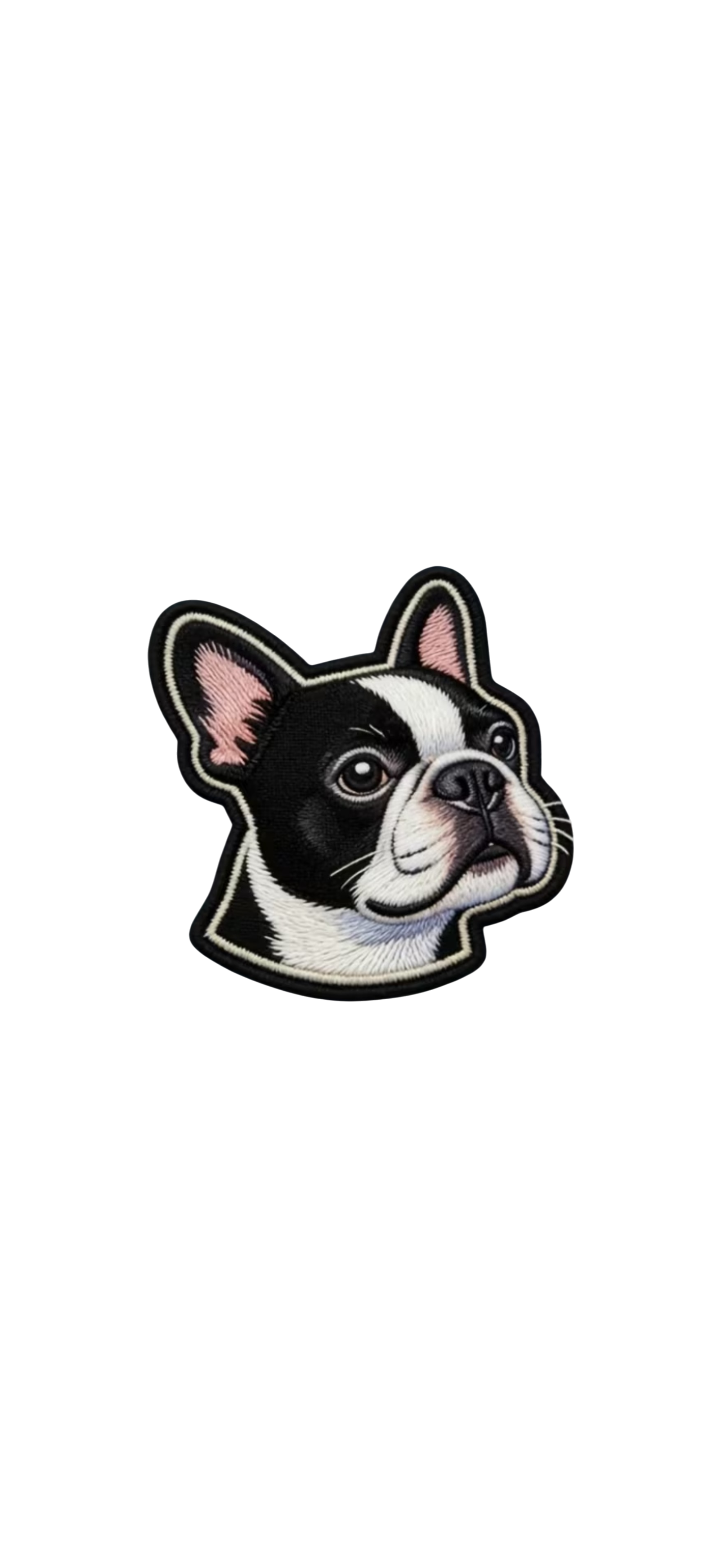 Mascotas