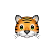 TIGRE
